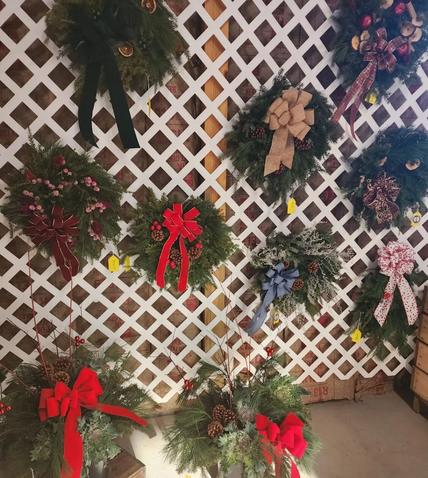 We're open for our last day of our Wreath Extravaganza today, Sunday, 9am to 3pm in our barn.  We have evergreen wreaths, evergreen swags, dried flower wreaths, evergreen planters, dried flower ornaments, and a few dried flower bouquets.  Don't miss 