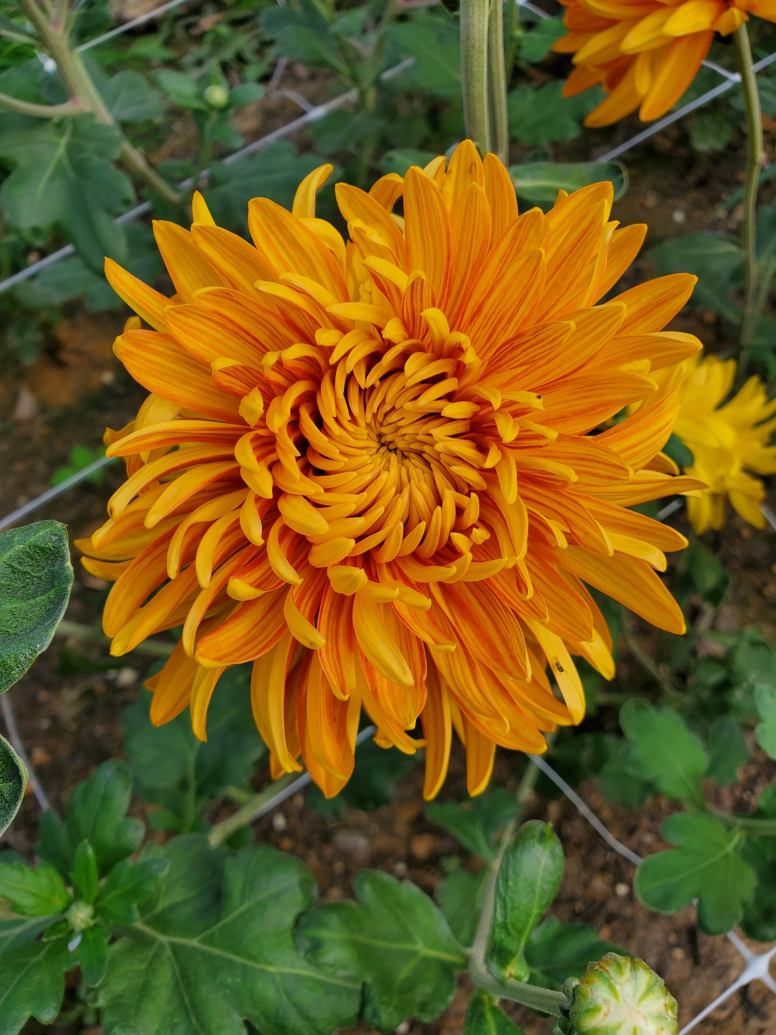 20210923_093553.jpg