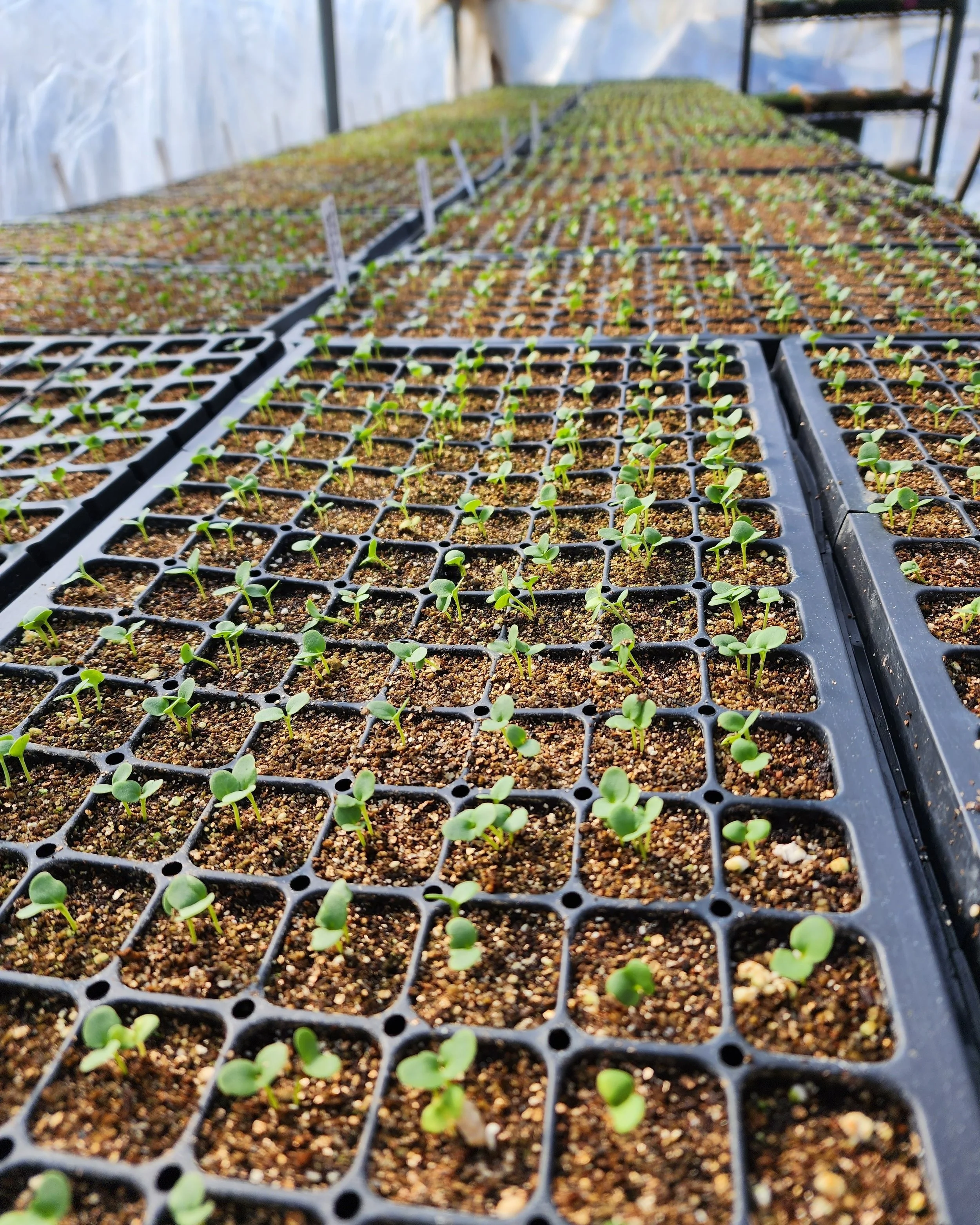 Farm Tour Friday 2-10-23