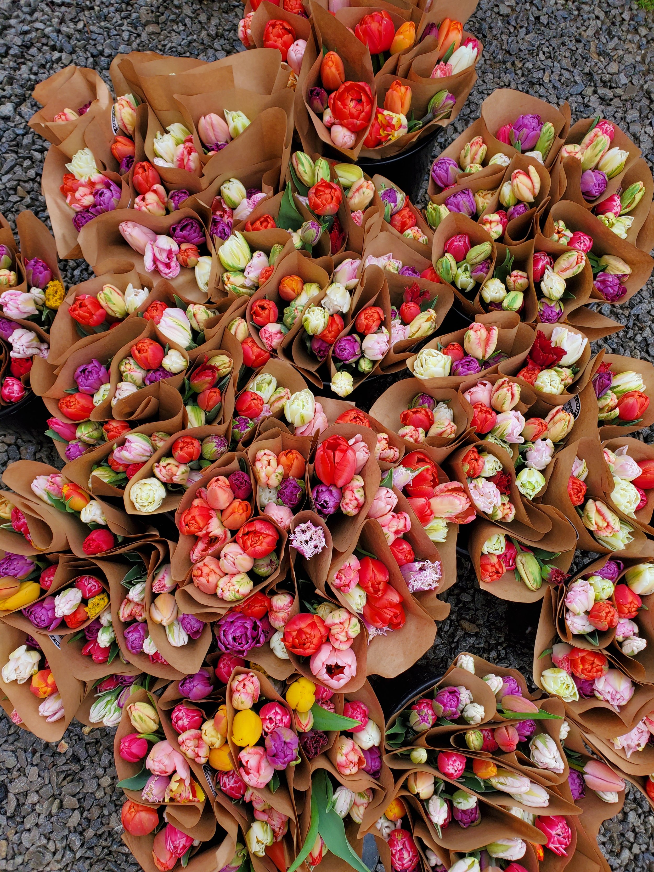 Events — Goose Creek Gardens, Ltd.