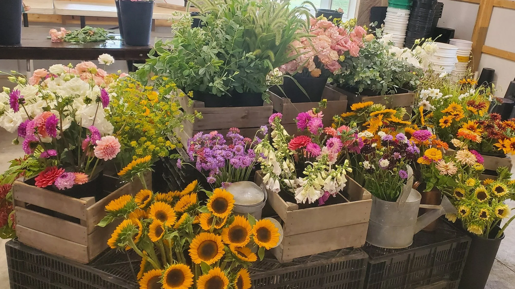 Events — Goose Creek Gardens, Ltd.