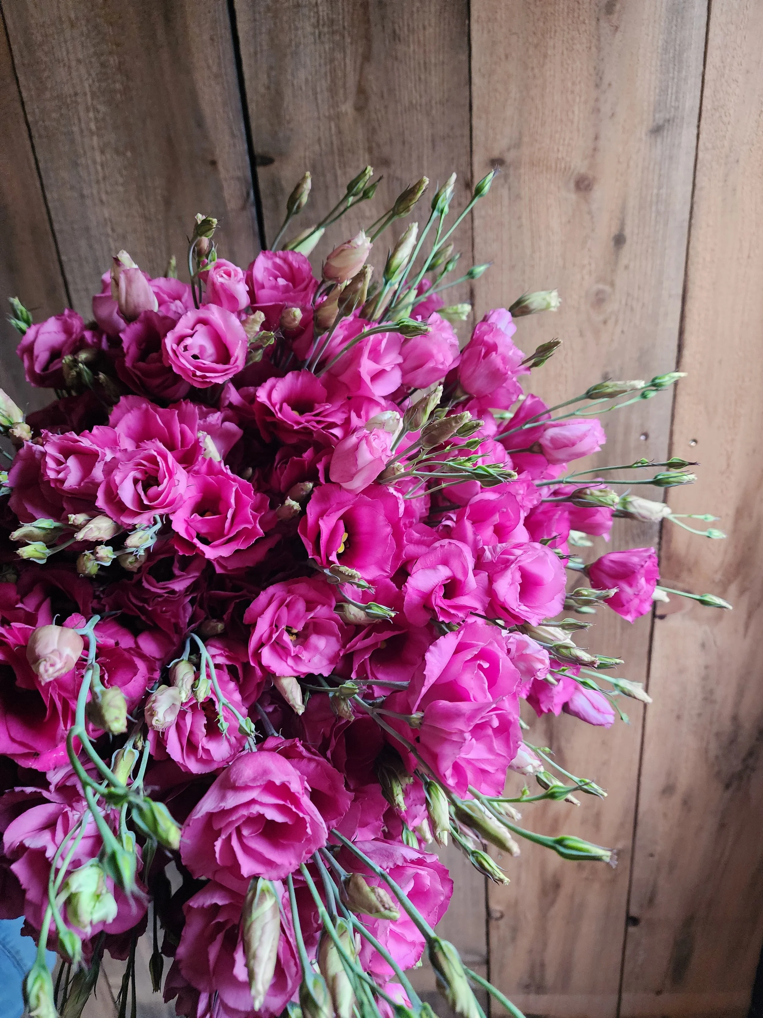 Grow Lisianthus Successfully: A Cut Flower Farmer’s Guide - Free ...