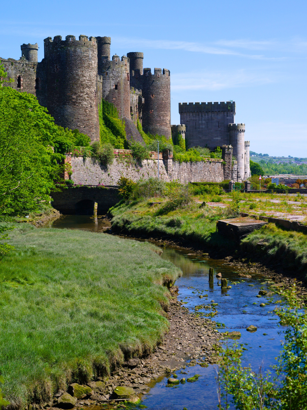 wales+portrait.png