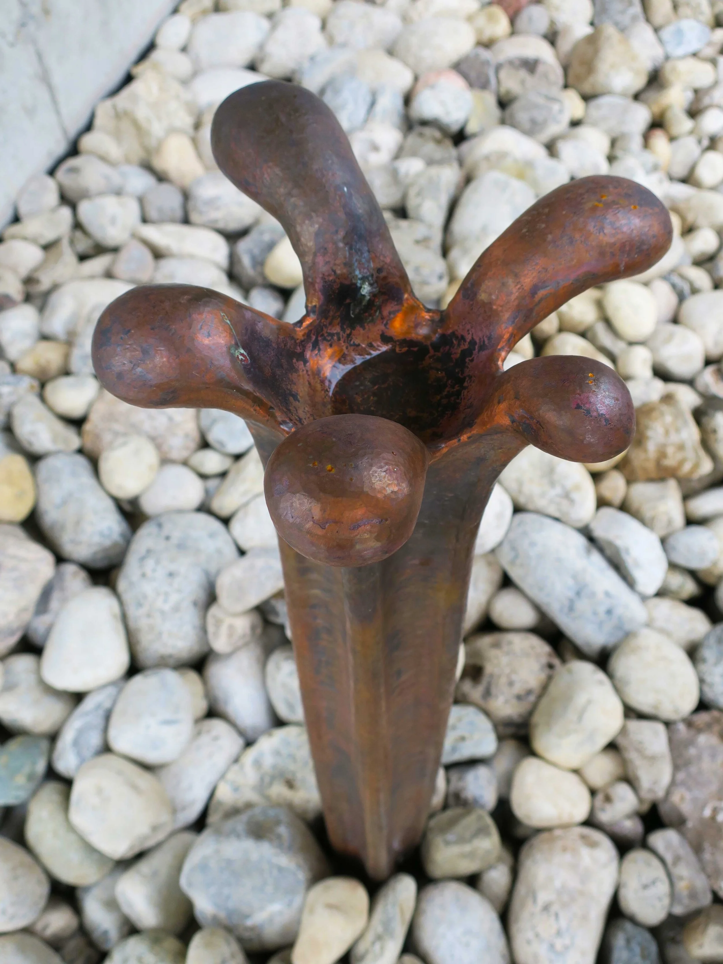 6. Fish-Out-of-Water--detail .jpg