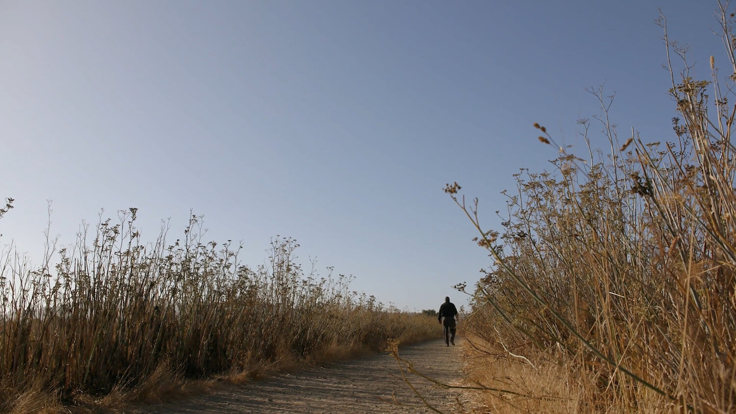 The Prison Within, A film by Katherin Hervey