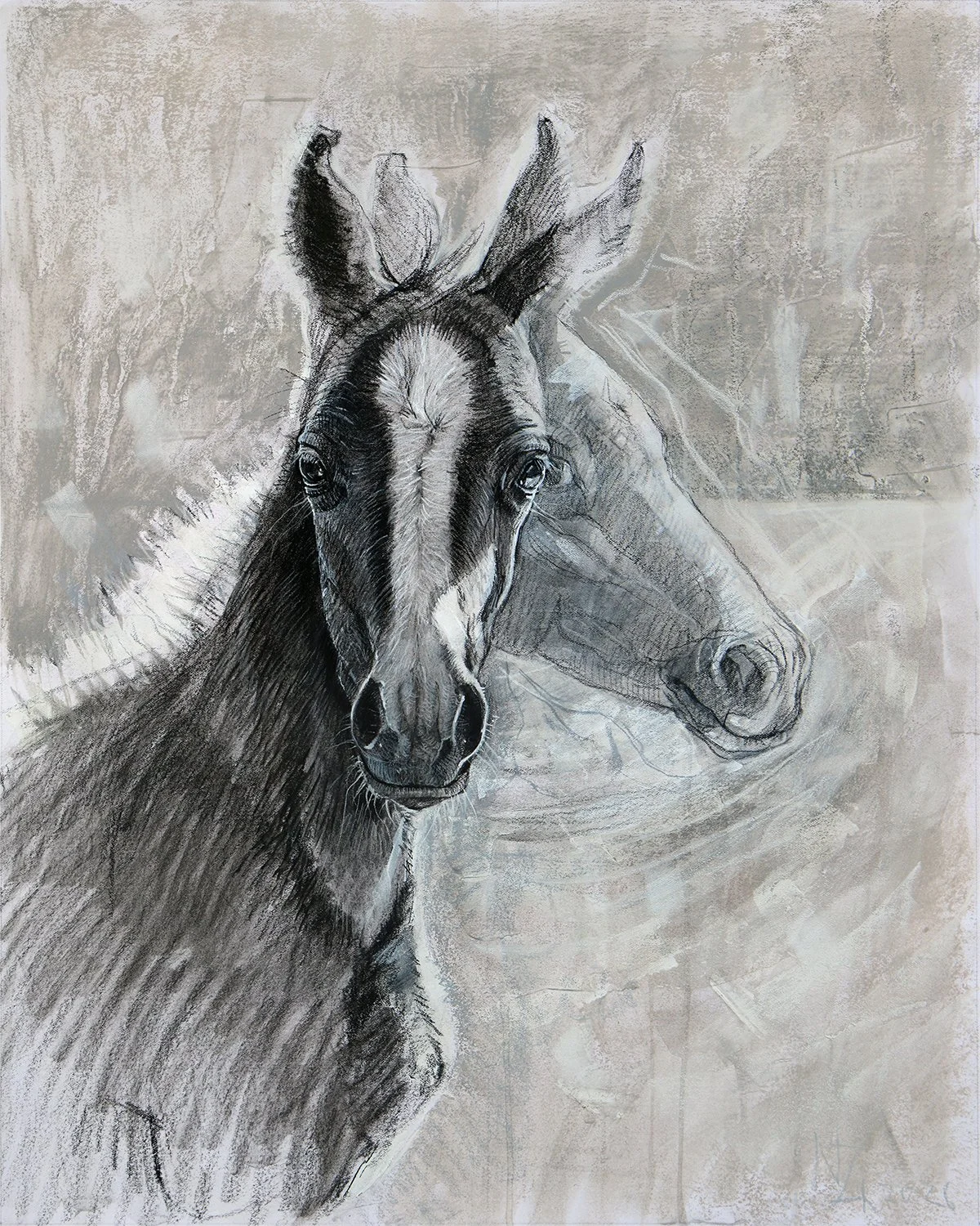 witte-horse-pastel2-web.jpg