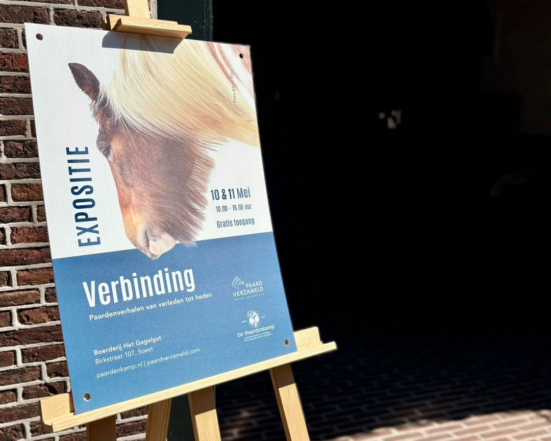 Event poster featuring a horse's head, with information about an exhibition titled 'Verbinding' on May 10 and 11 from 10 AM to 4 PM, at Boerderij Het Gagelgat in Soest.
