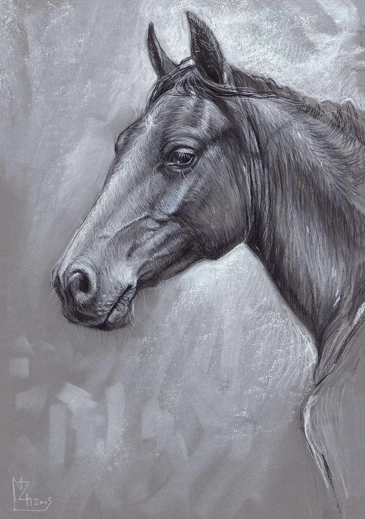 horse13.jpg