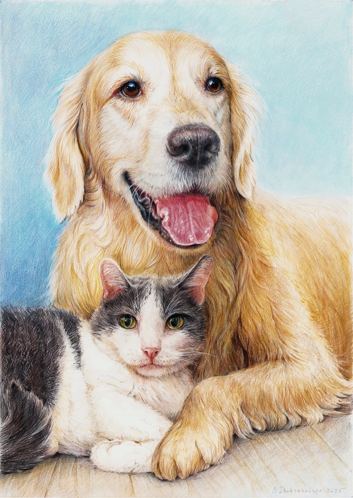 dog-cat.jpg