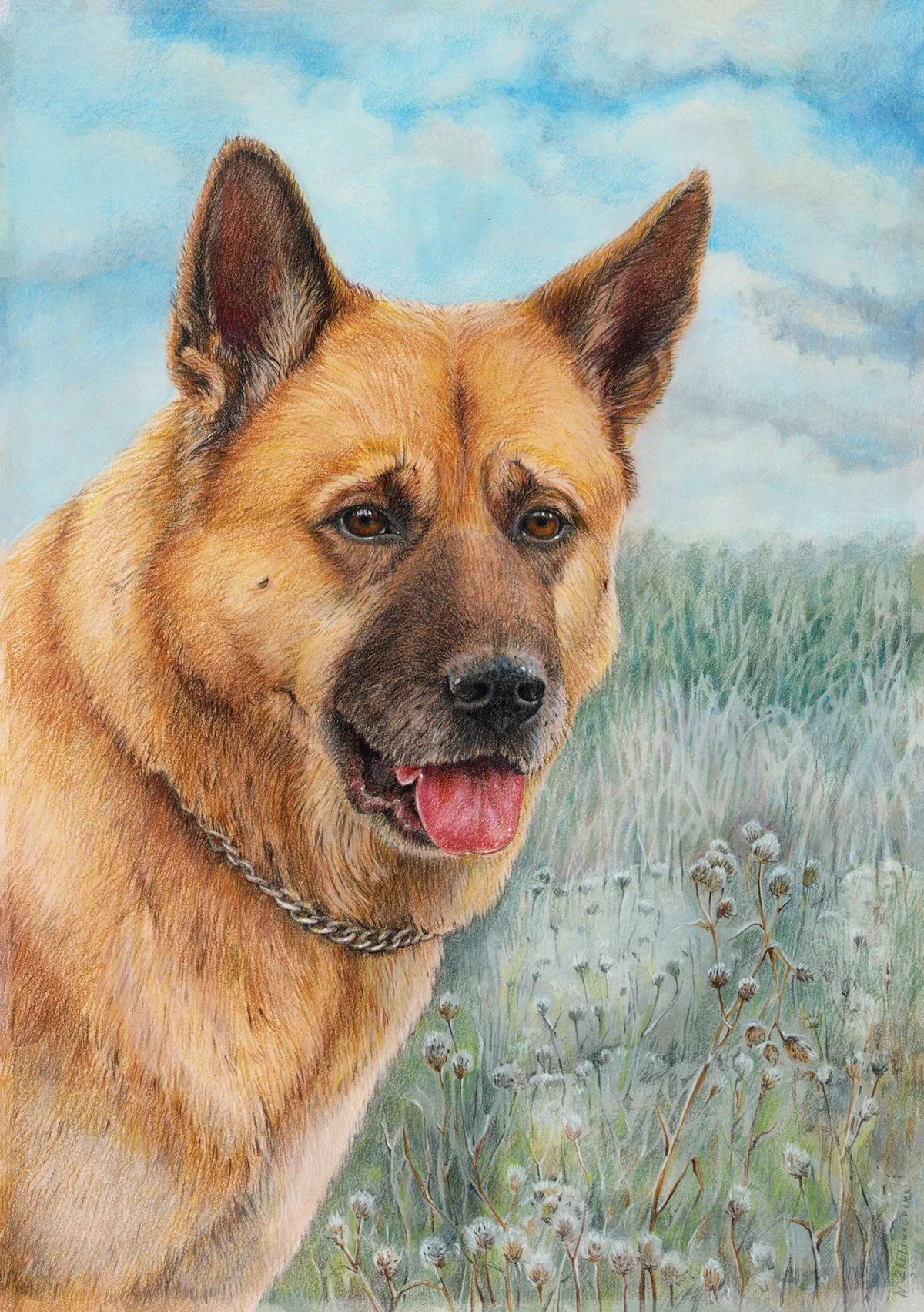 hond.jpg
