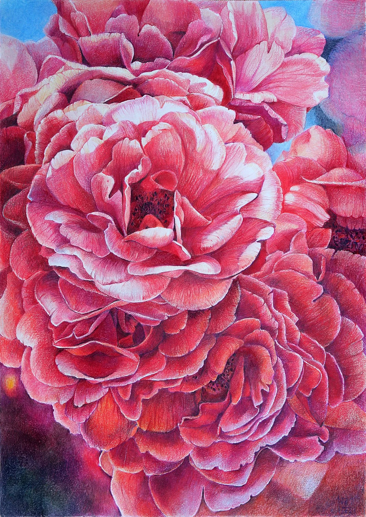 roses.jpg