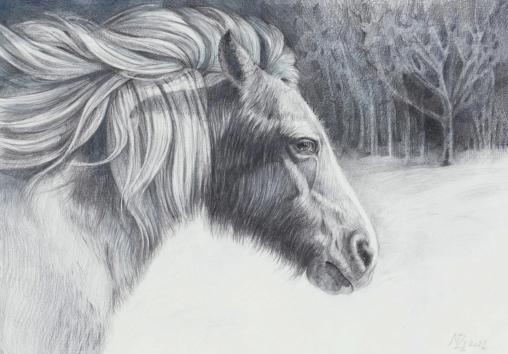 graphit-horse-04.jpg