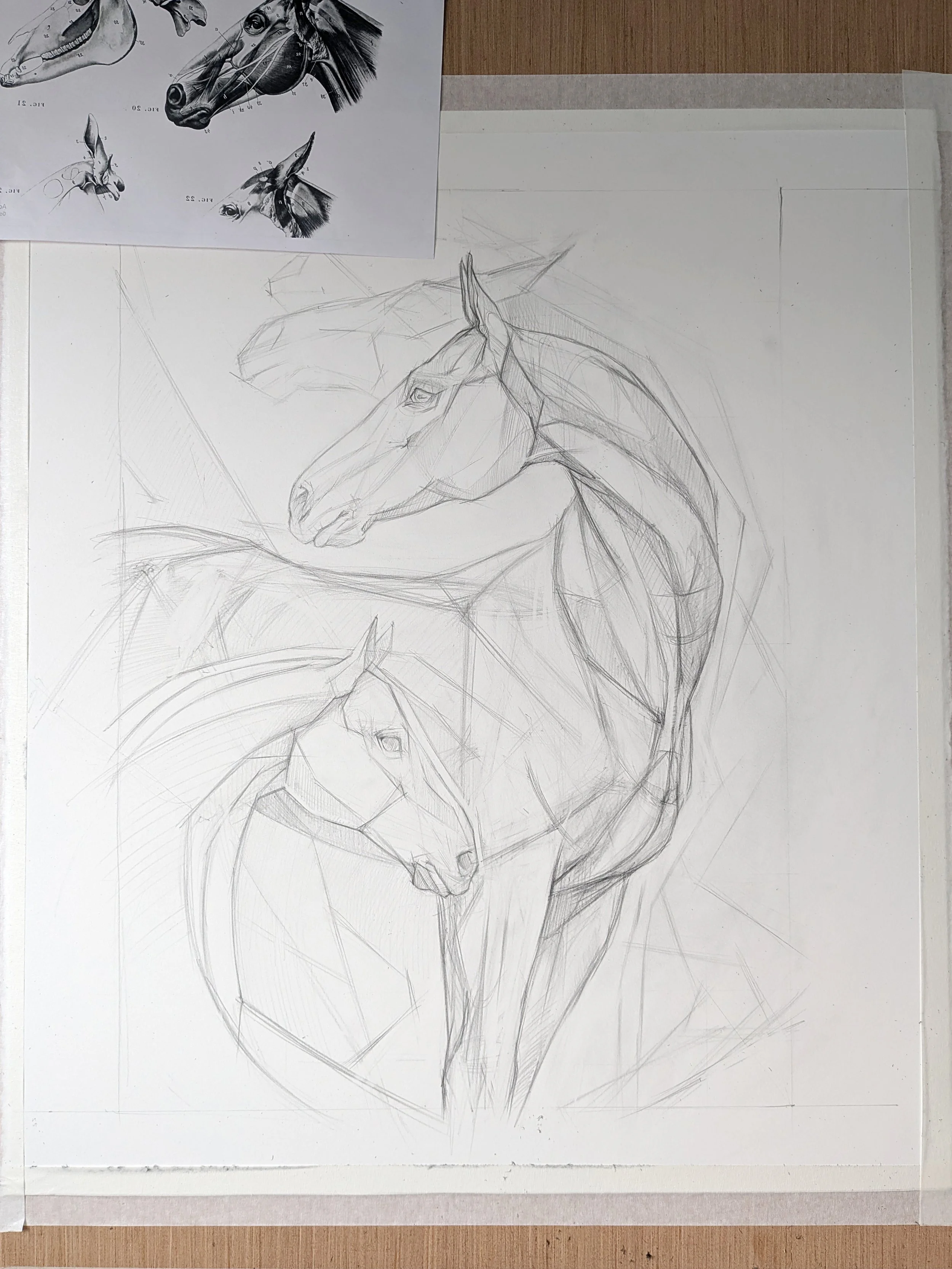 A detailed pencil sketch of a horse's head and neck in progress on paper. There is a reference sheet with detailed horse head illustrations in the upper left corner.