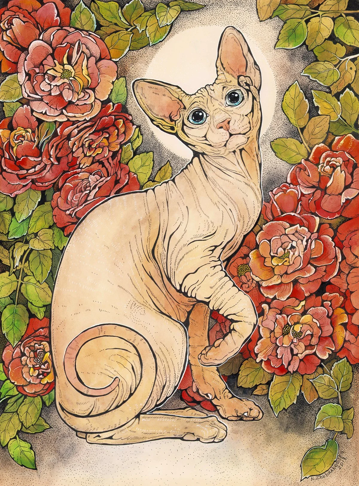cat-sphincs.jpg