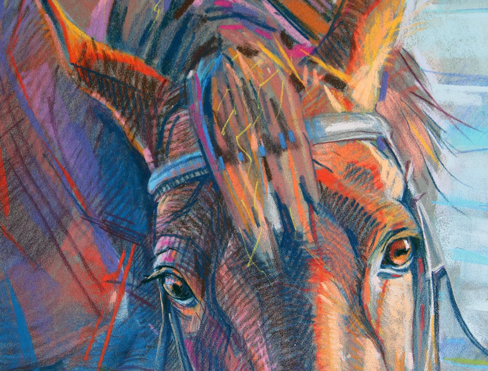 horse20-3.jpg