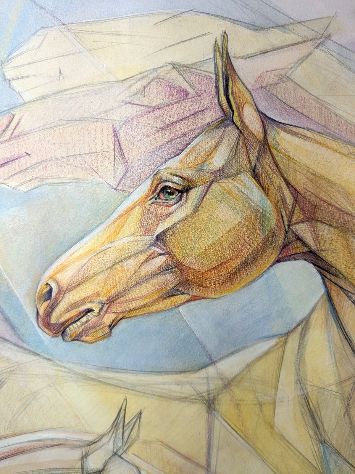 A colorful, detailed drawing of a horse's head, with a focus on its eye and facial features, created using colored pencils and sketching techniques.
