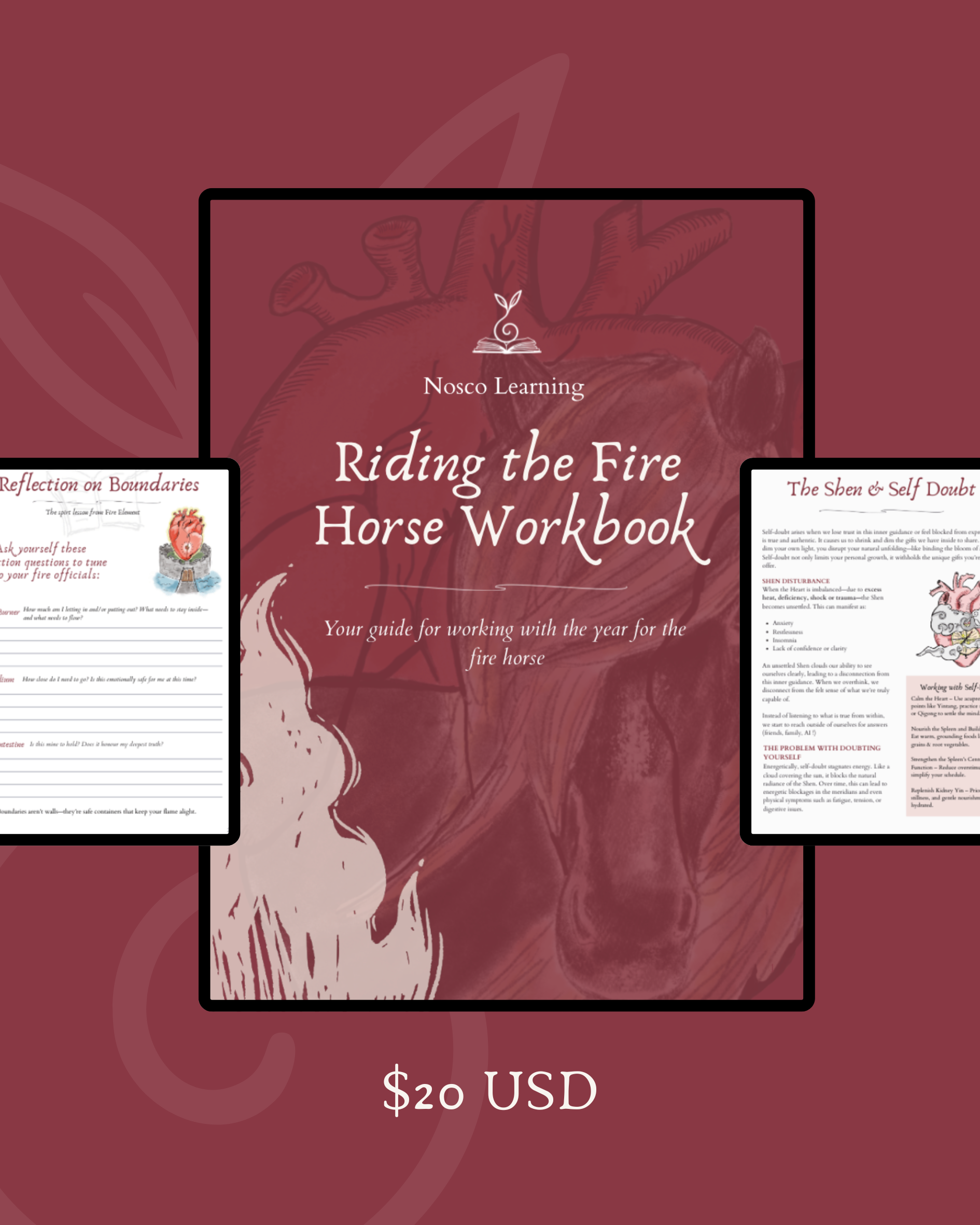 preview images of workbook pages from "riding the fire horse workbook" on red background