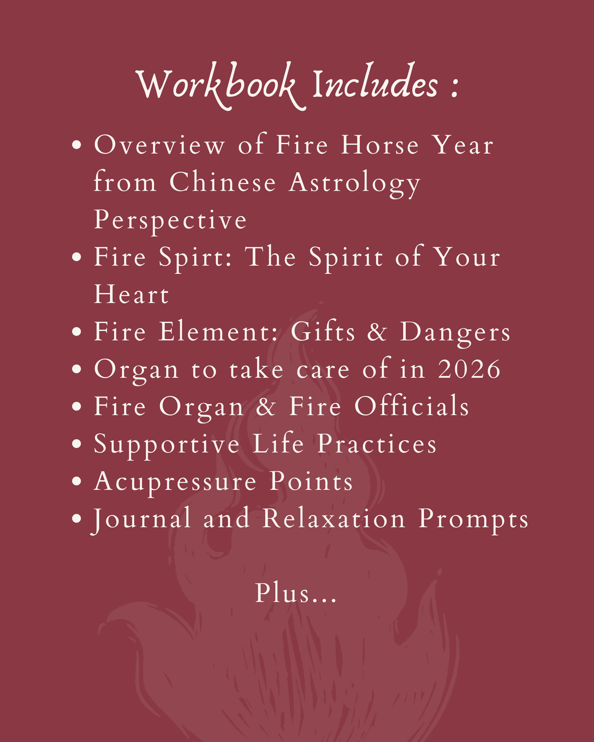 List of what the workbook includes on a red background.