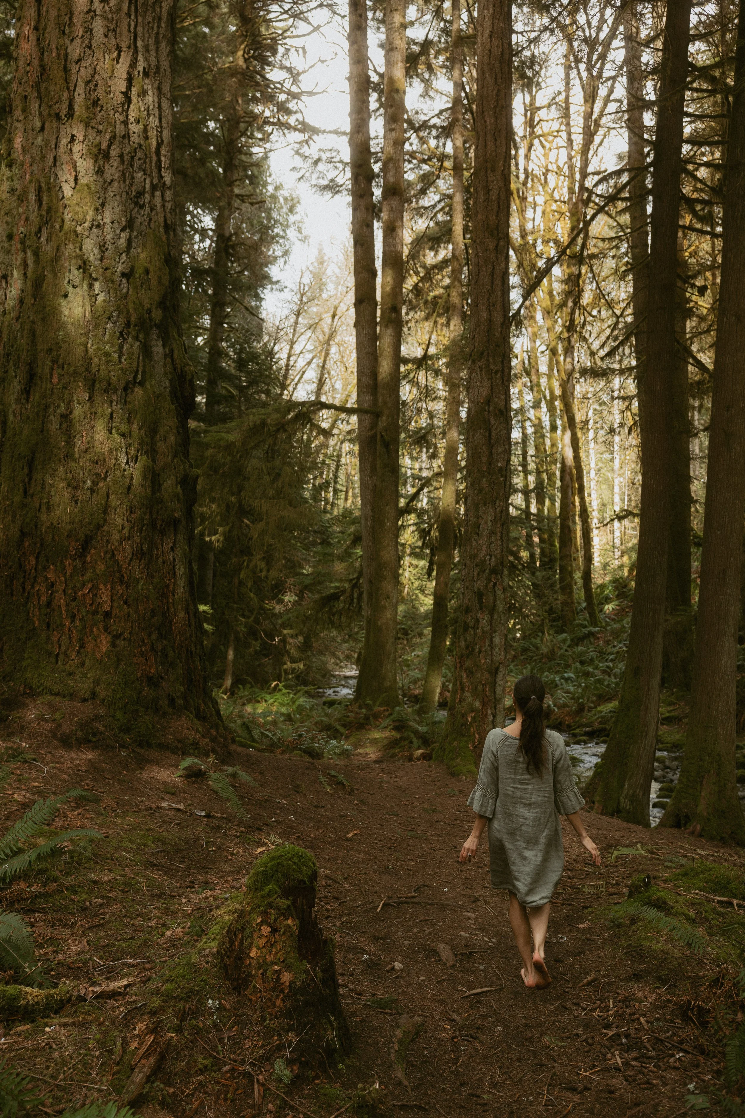 image of stephanie walking down forest path