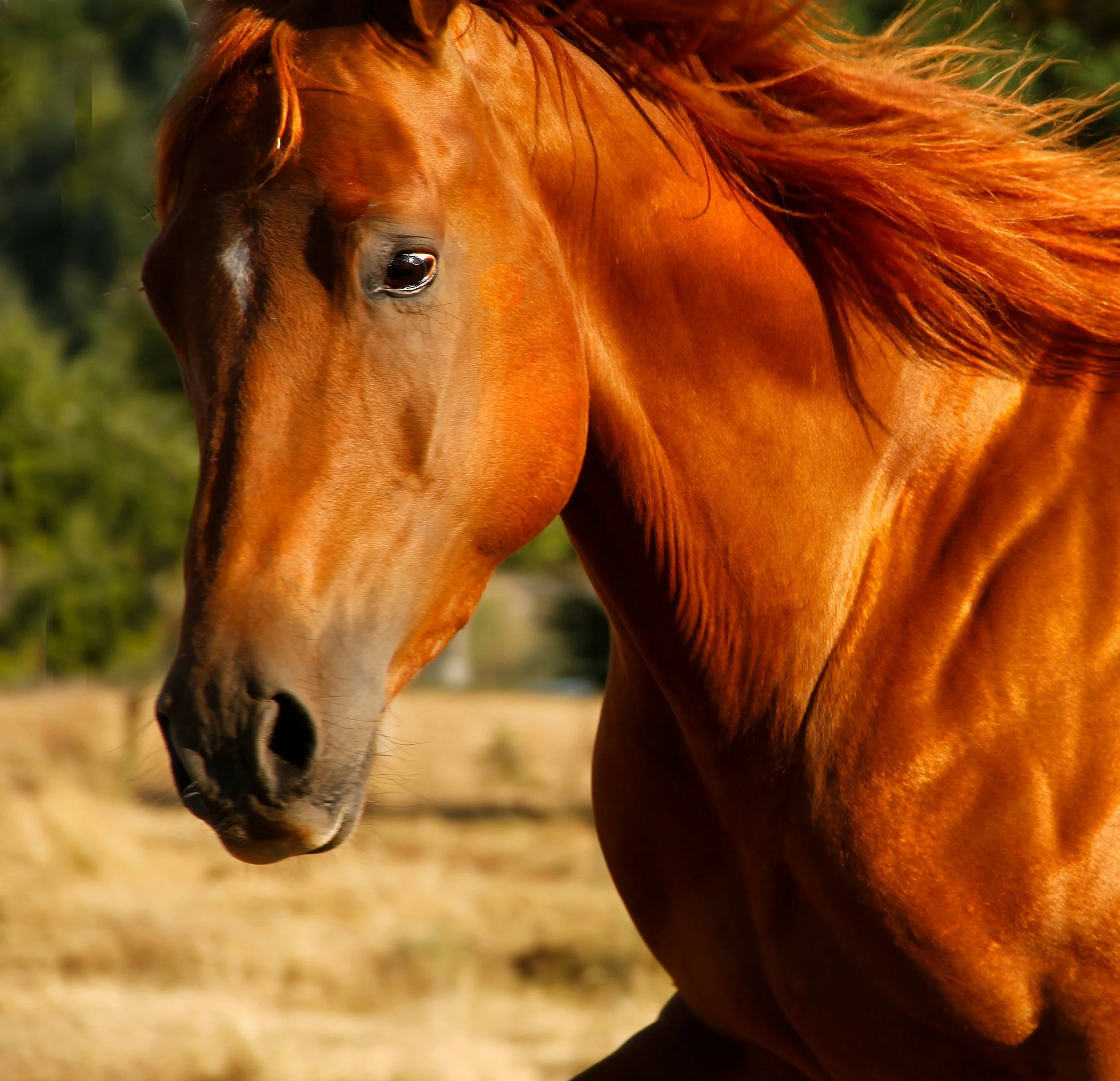 jan-canty-0nnEuPjn1YU-unsplash head shot.jpg