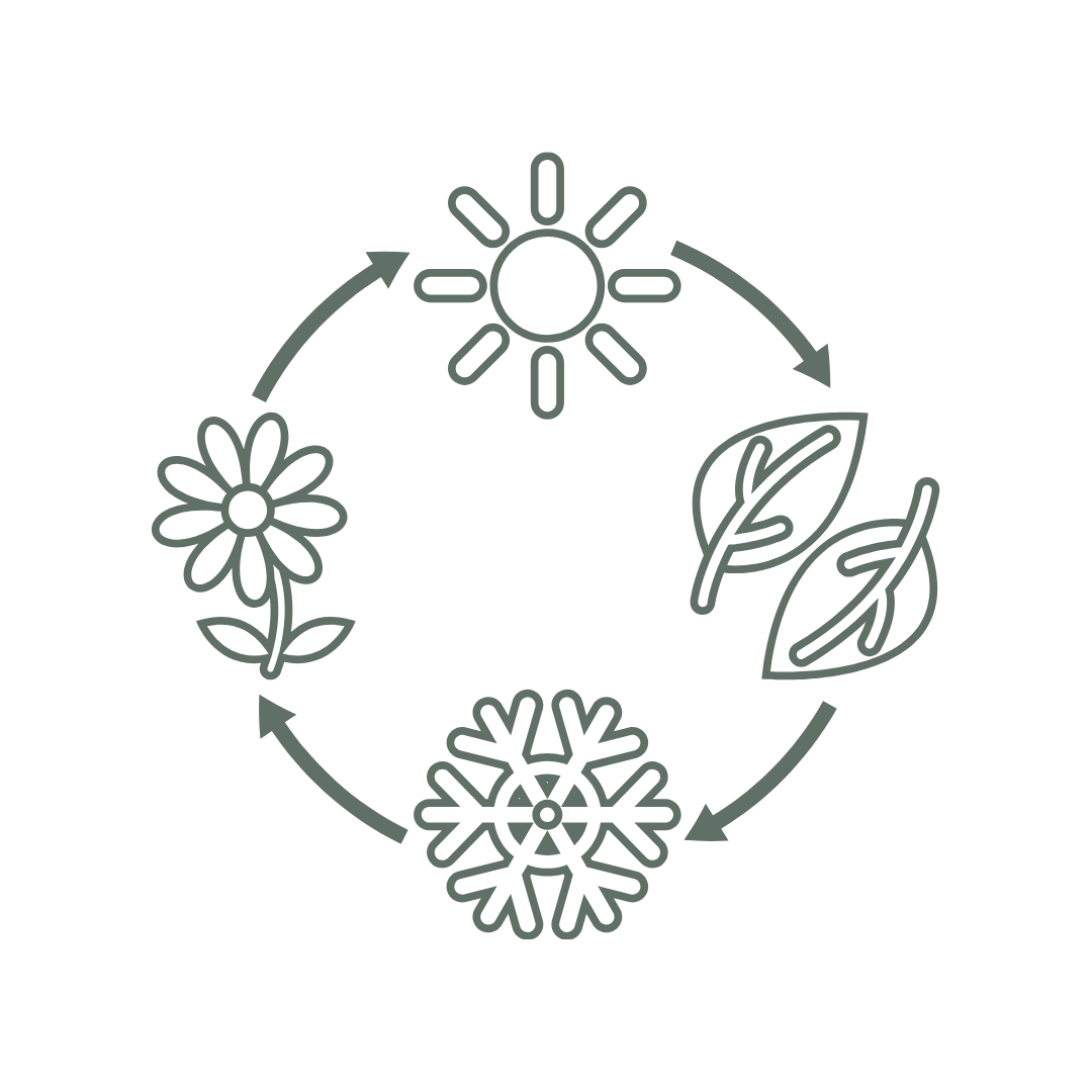 icon depicting seasons with sun, arrow, leaves, arrow, snowflake, arrow, flower, arrow