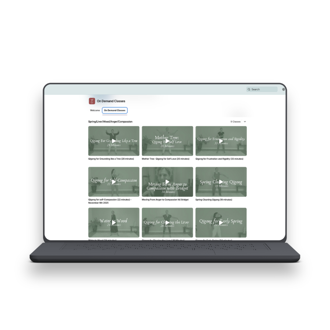 laptop image depicting all of the on-demand classes within the practice path
