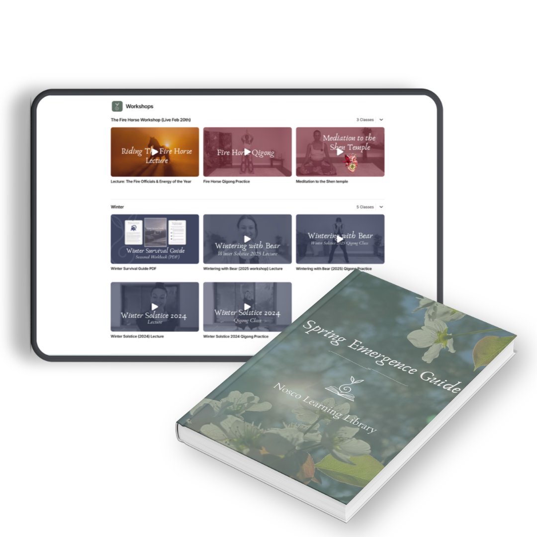 tablet image depicting recordings of workshops and pdf resources inside the practice path