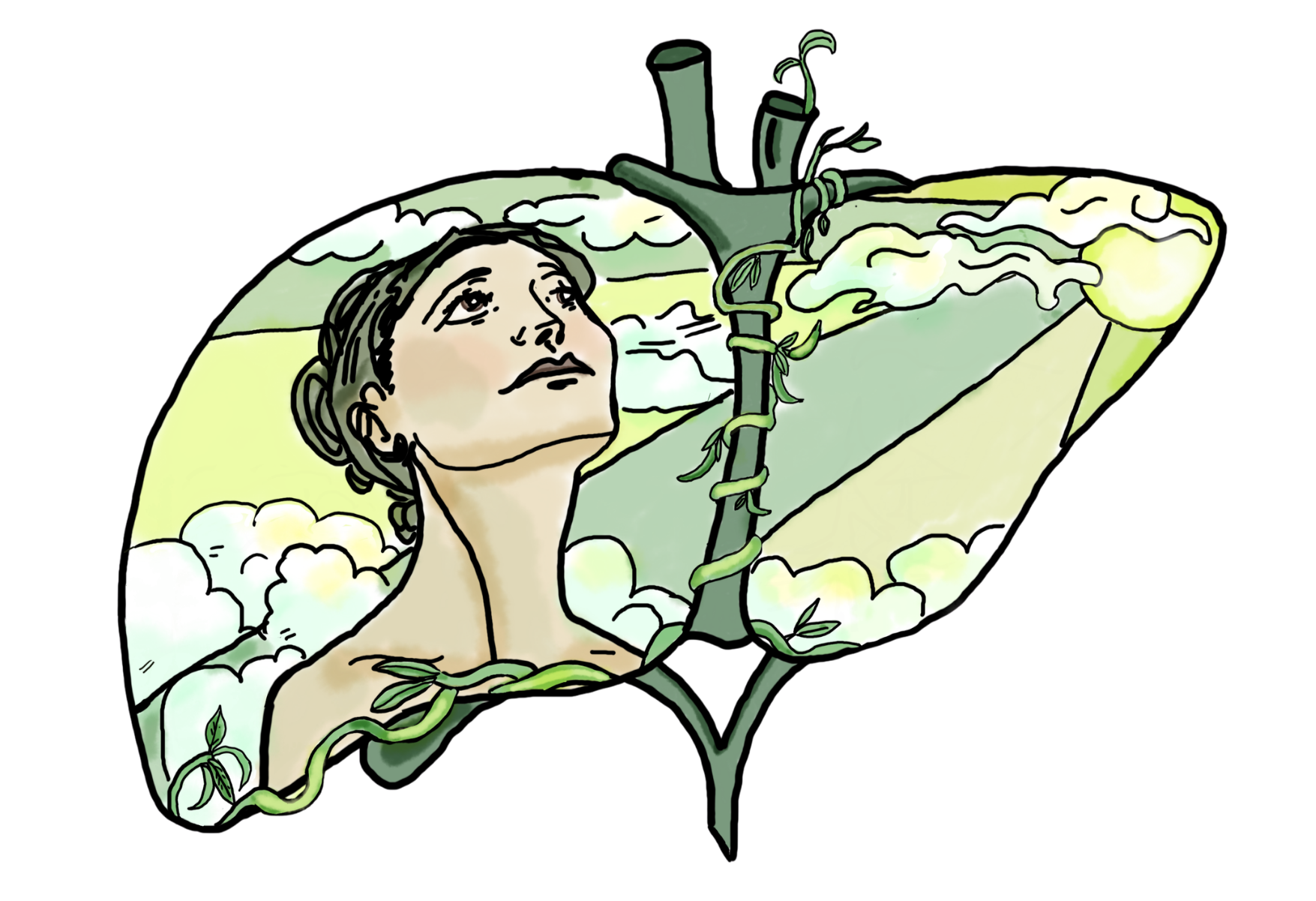 Sketched images of Woman inside the shape of a liver by Stephanie Nosco. Liver, Spring, Hun.