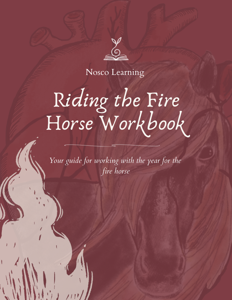 Riding the Fire Horse Workbook
