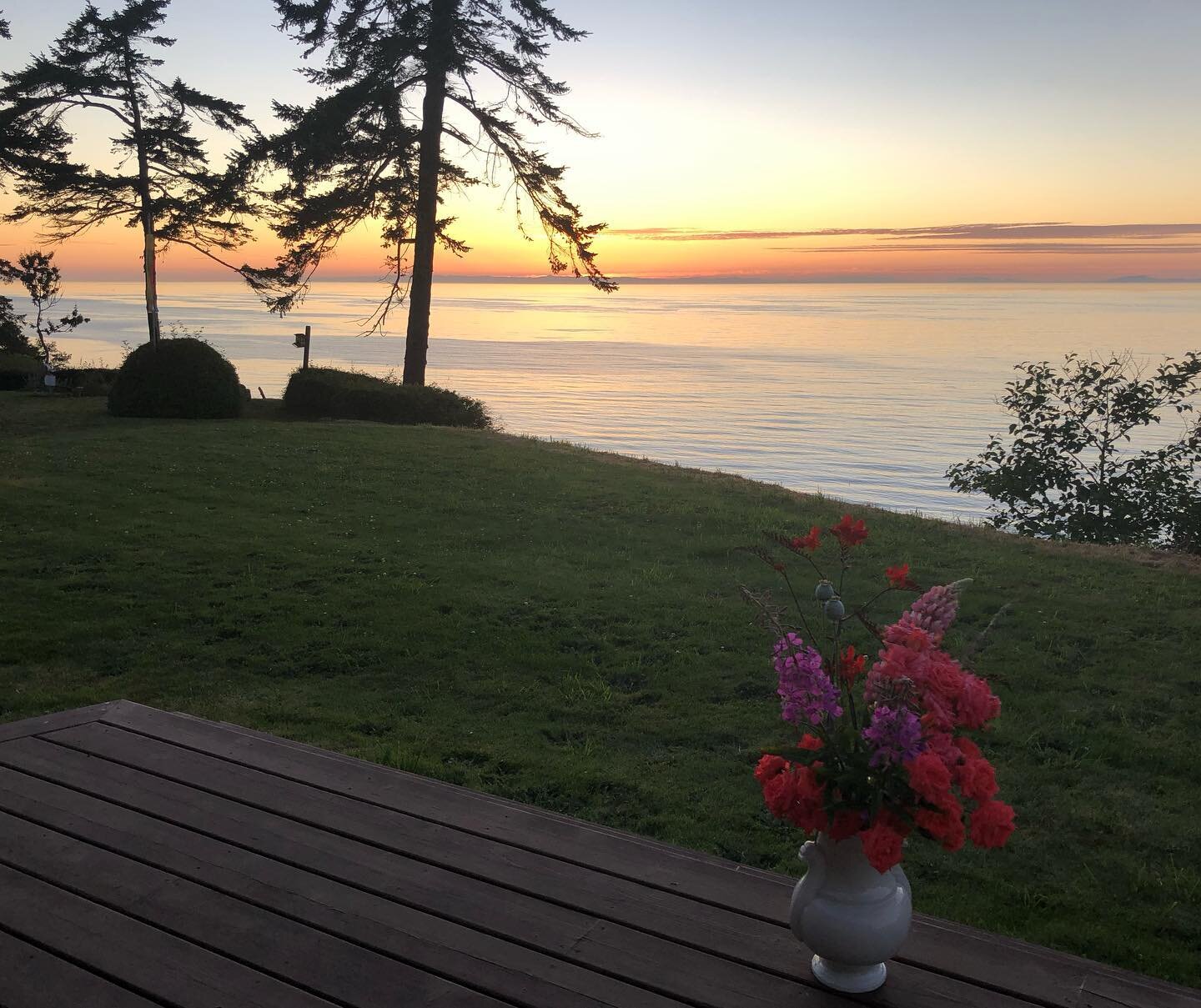 I can&rsquo;t think of a better place to have a fun time painting and sipping than right here. Join me tomorrow night (Tuesday july 19) overlooking the Straight of Juan de Fuca. #paintnsip details in my website #porttownsend #pnw #watercolor #feather