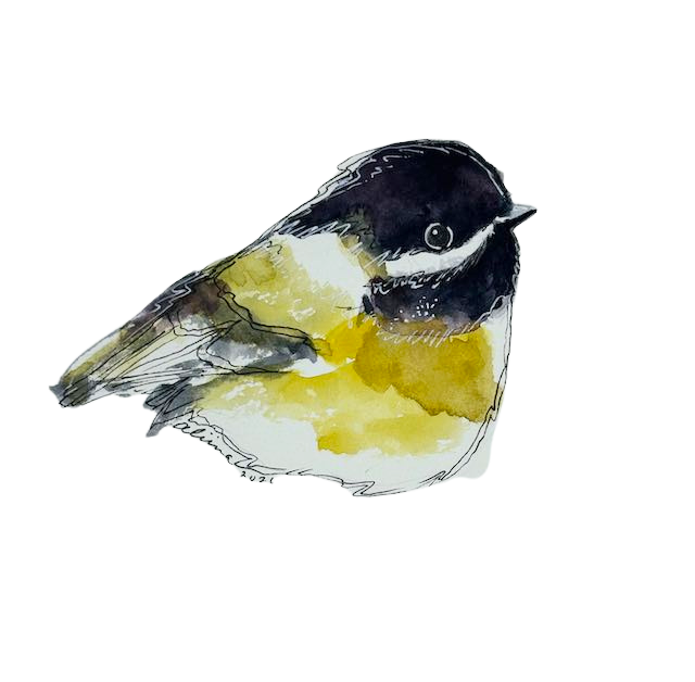 Chickadee 4.png
