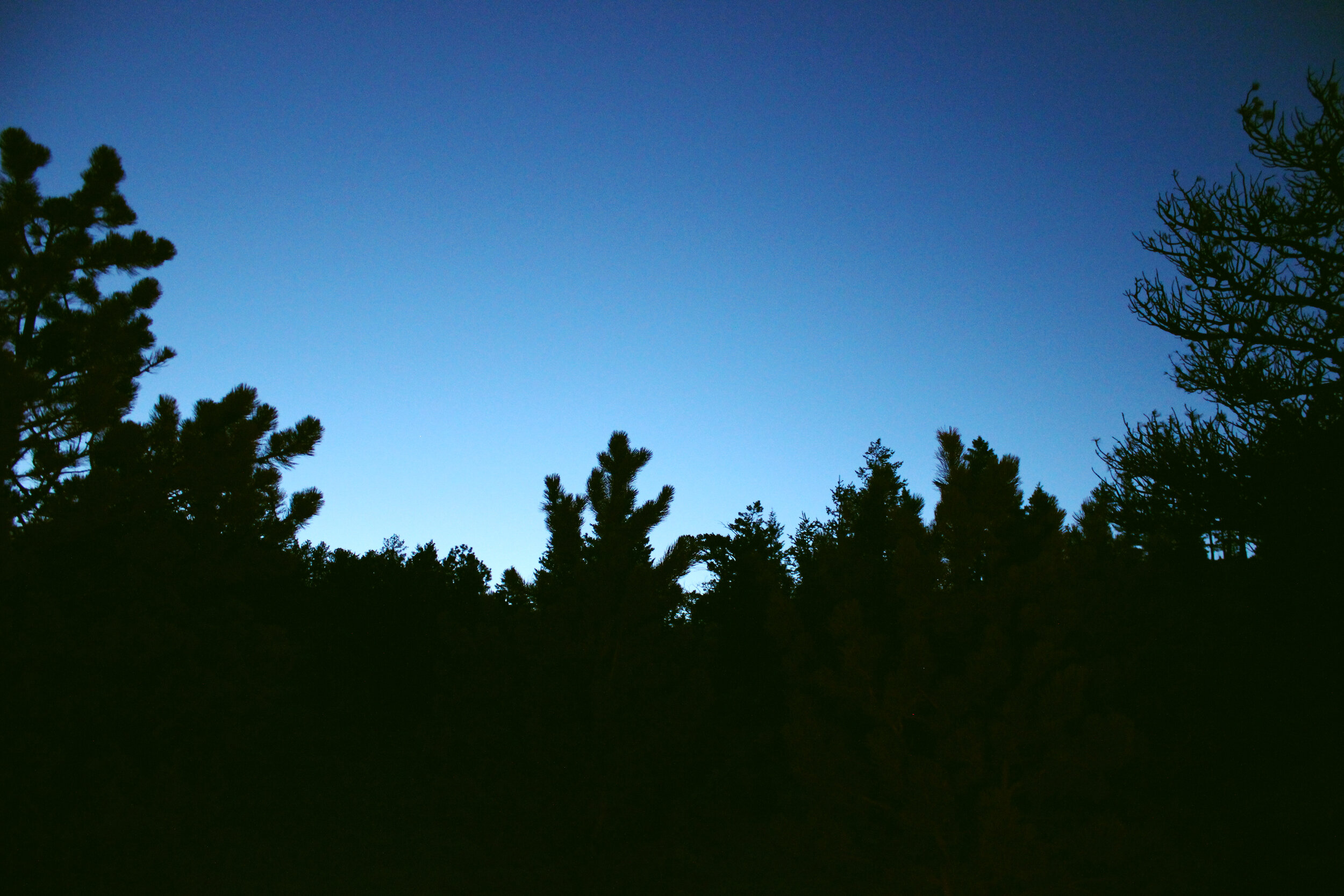 IMG_4562 copy.jpg