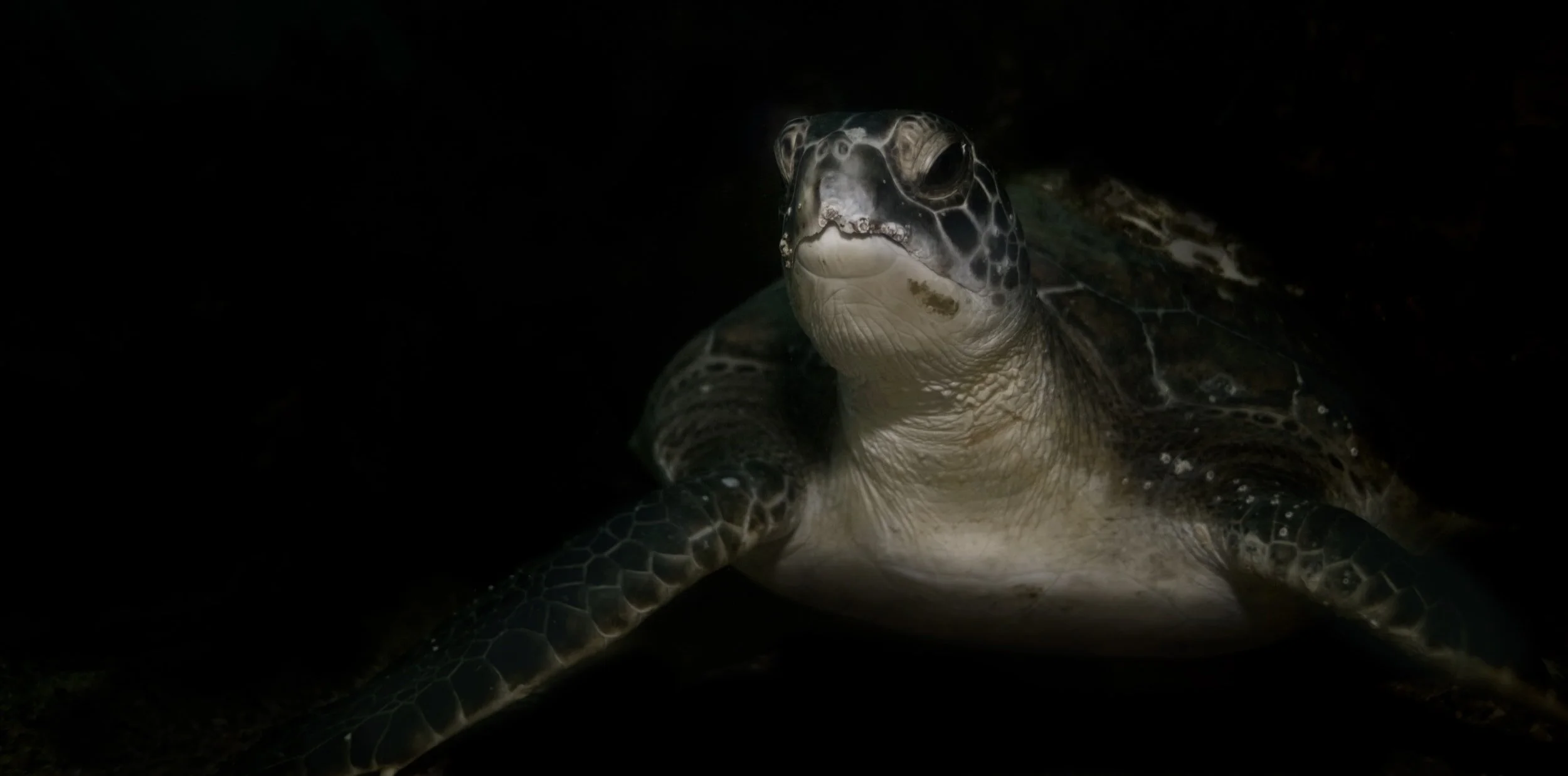 Longevity in an Evolving Ecosystem with Jim Bugwadia