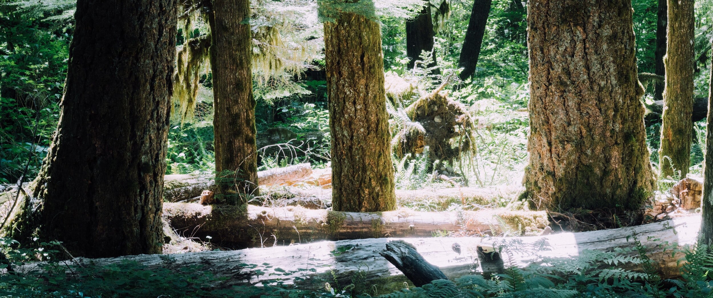 Positioning and the Red Hat Model