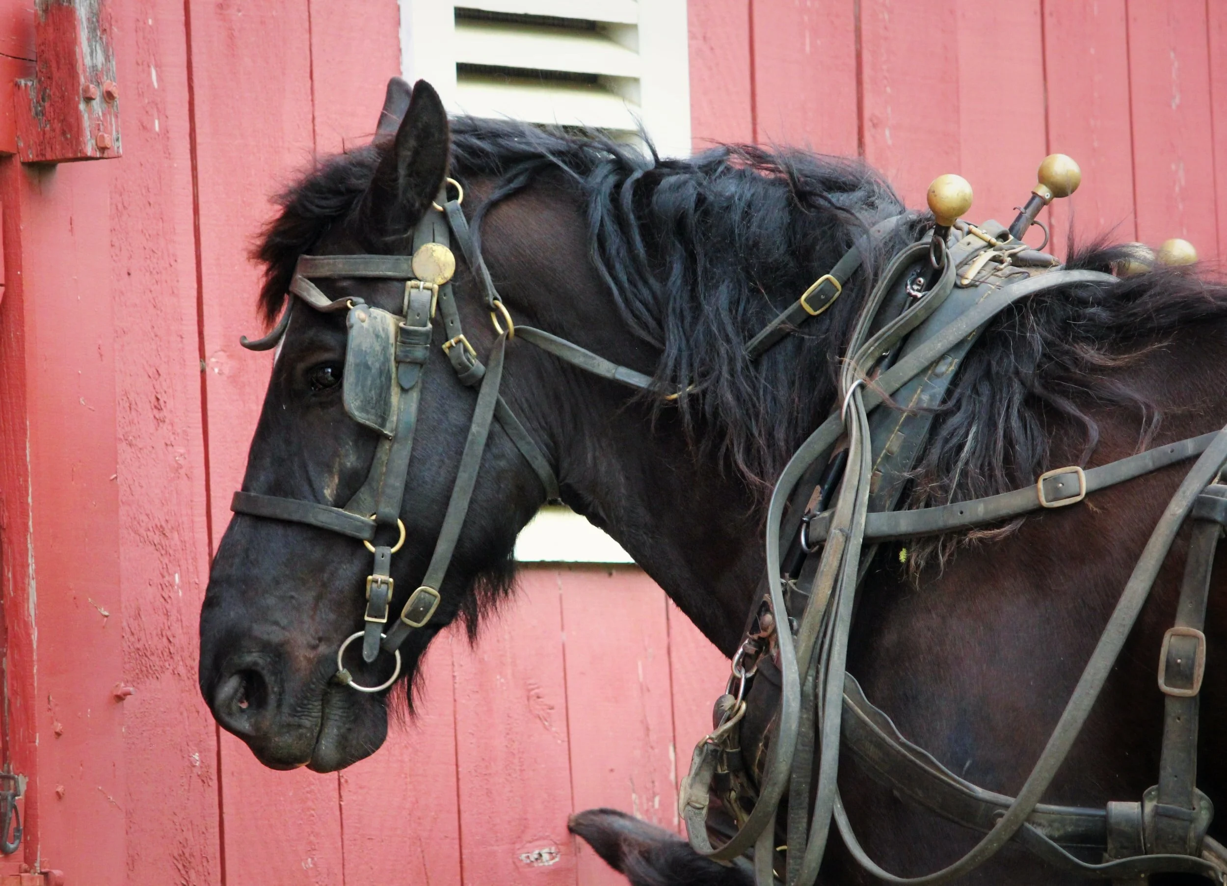 Navigating the Cloud Native Ecosystem with Harness Evangelist Ravi Lachhman