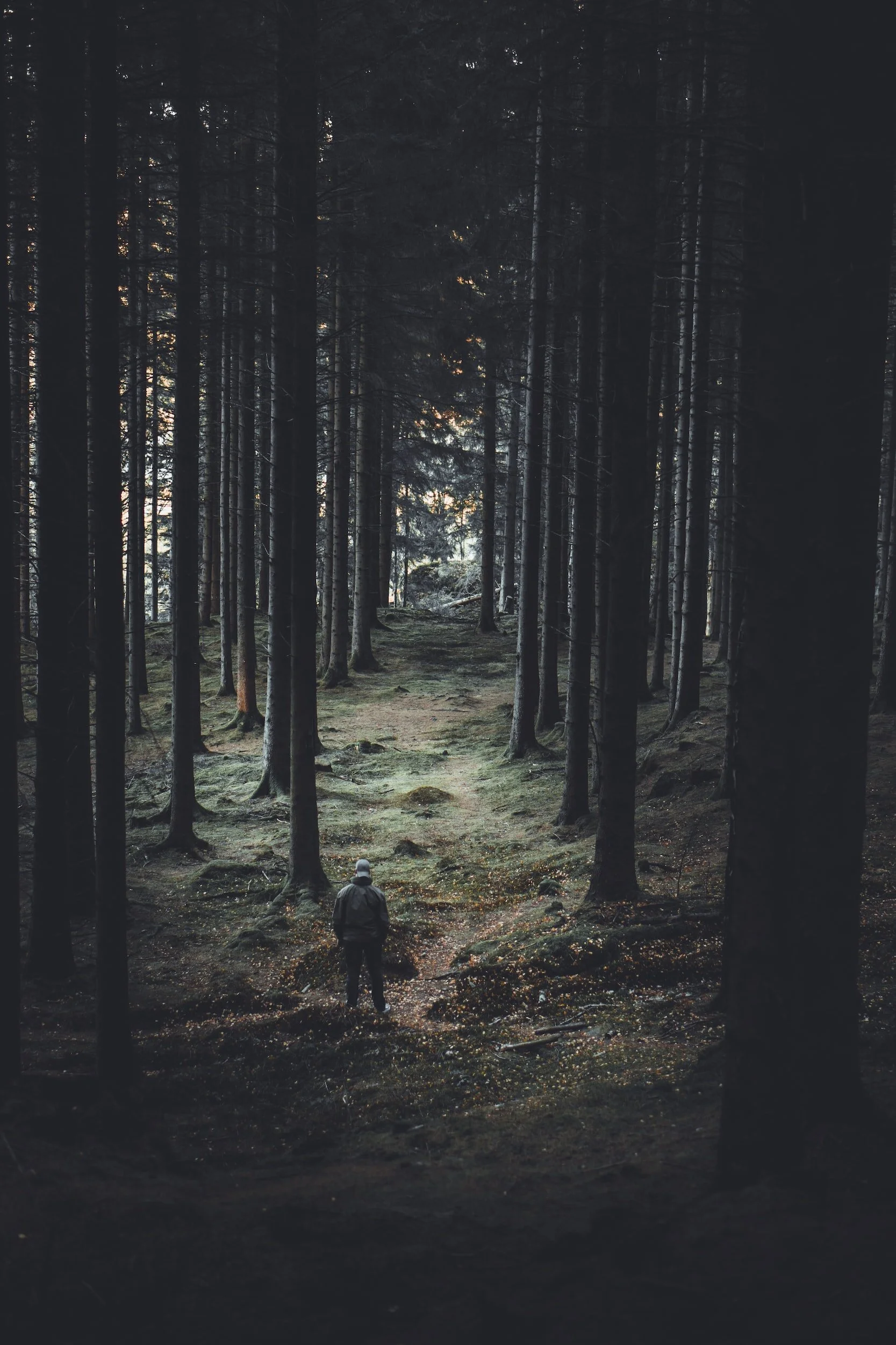 Tales of open source, bootstrapping and scaling from VivaTech