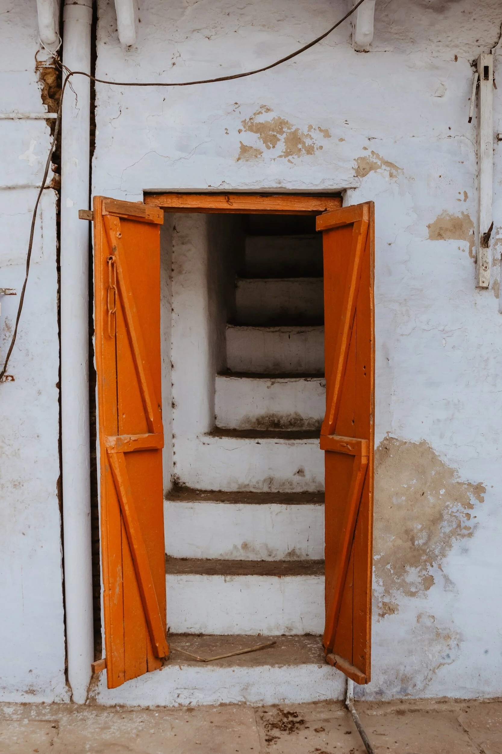 What is an open source company?