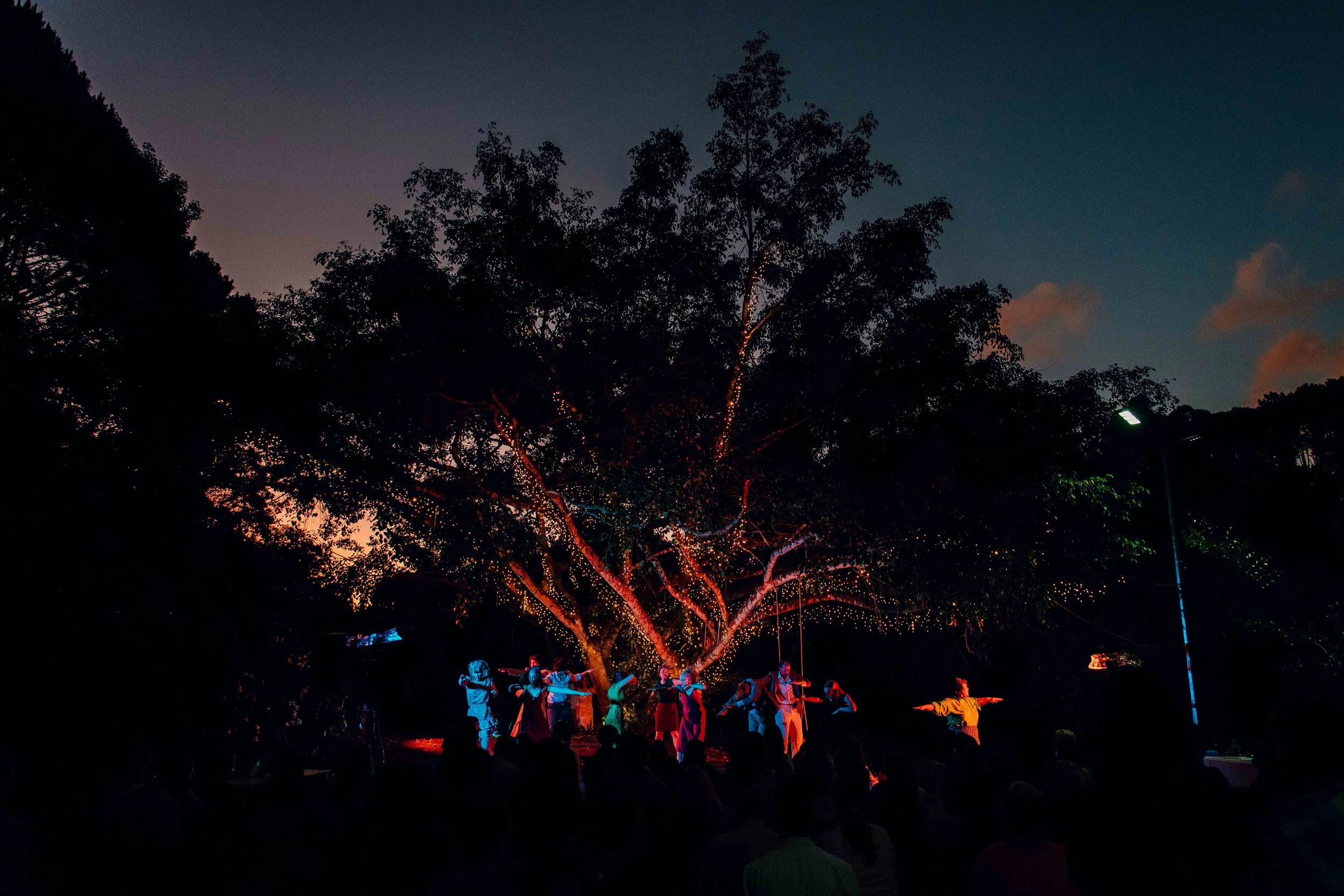 2022 December 3_ZenZenZoRebirth_Montville_upload-8504496.jpeg