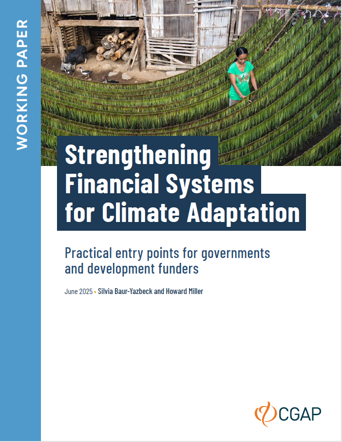 Cover of a report titled "Strengthening Financial Systems for Climate Adaptation" showing a woman working in a field of green crops with a rural wooden structure and animals nearby.
