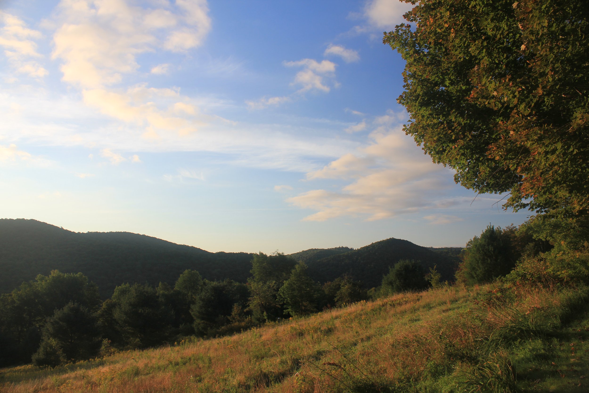 IMG_8669.JPG