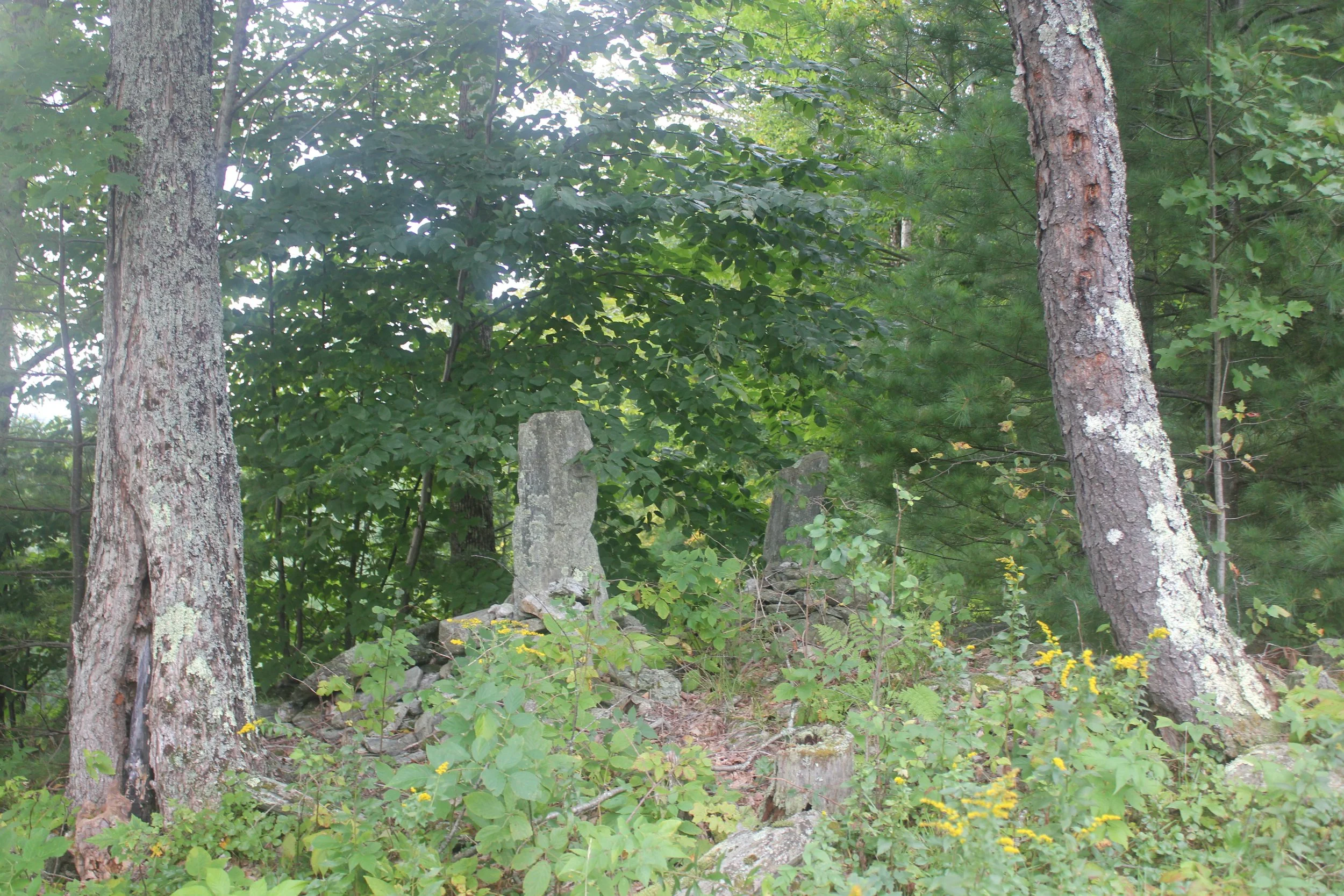 IMG_8995.JPG