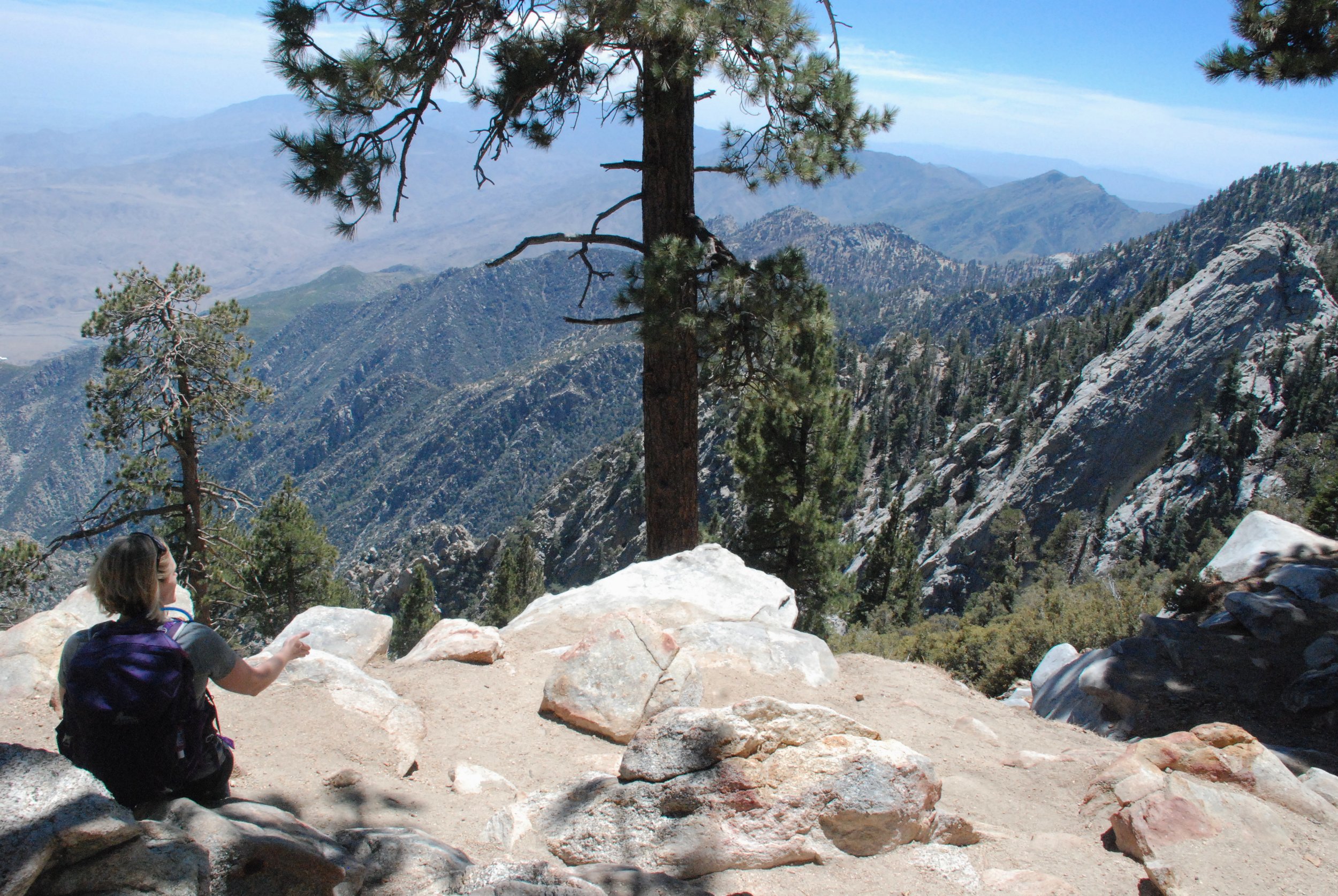 DSC_8781.  ABOVE IT ALL.JPG