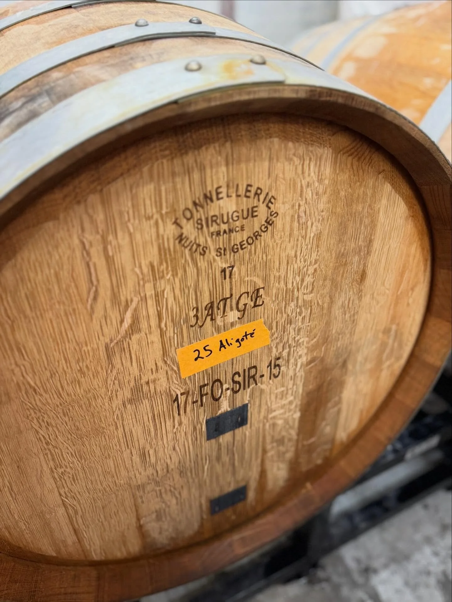 2025 Aligot&eacute; 🍋🍏⚡️🌼

Freshly racked and into neutral French oak barrel, to be bottled later this year.  So good!