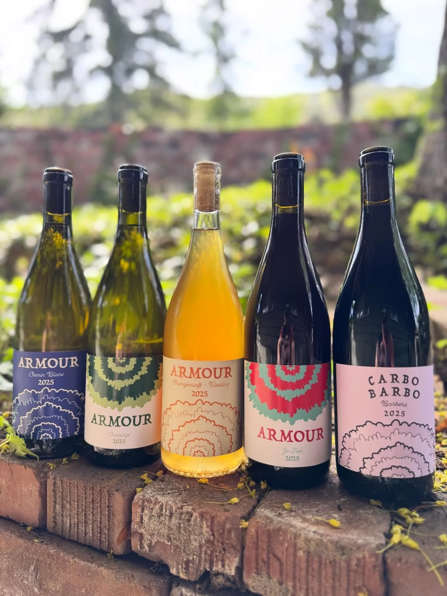 💐Spring 2026 Wines! 💐

Five new wines are now available at our Tasting Room, online store, and beyond! 🤗

2025 Chenin Blanc
2025 Chersieze - Viognier
2025 Orangensaft - Riesling
2025 Je Tem - Gamay Noir
2025 Carbo Barbo - Barbera