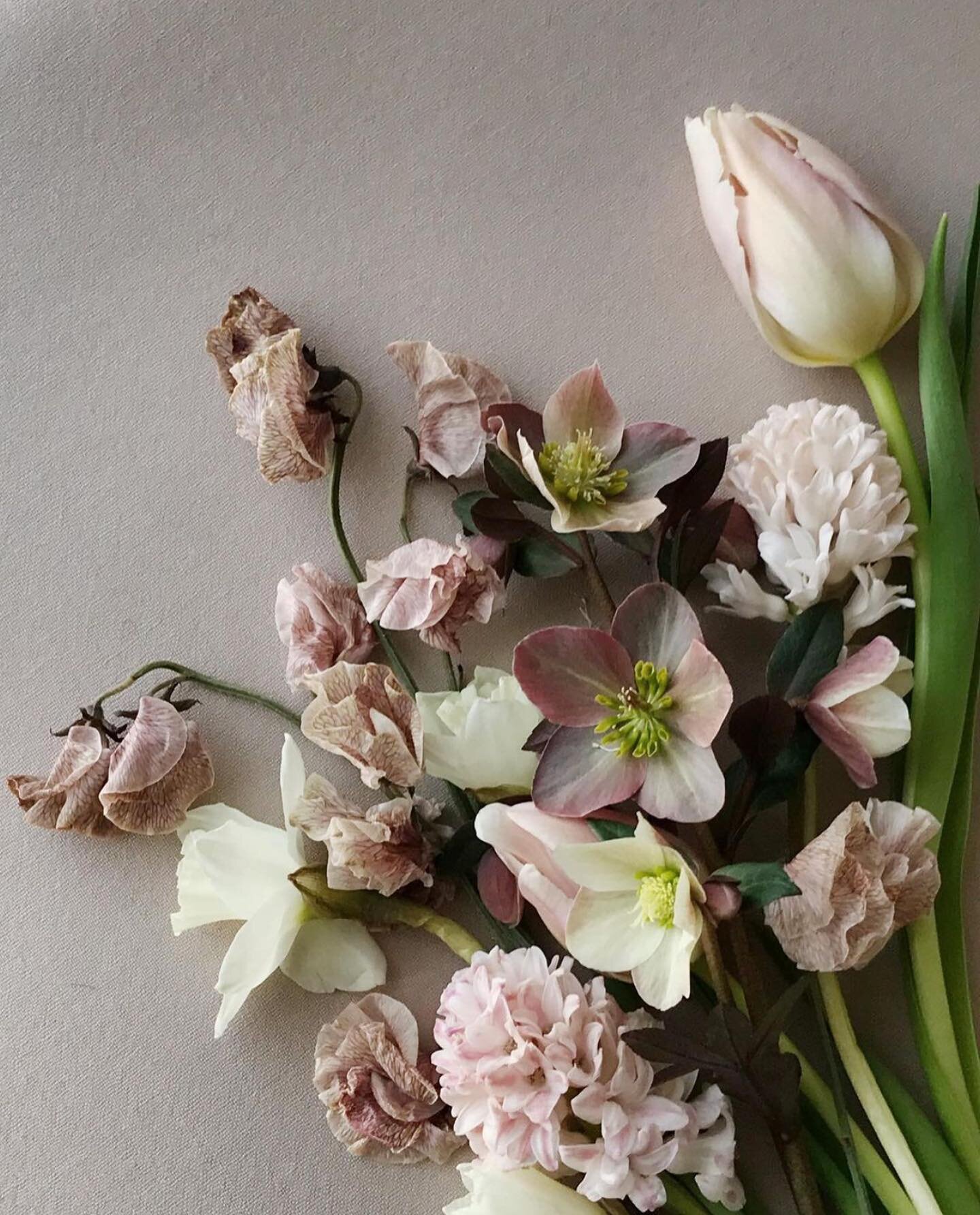 Loving these beautifully muddy spring hues from the talented @mossfloral. I can only imagine the beautiful arrangement these stems were placed into. 

#sobridaltheory #fineartflorals #fineartwedding #fineartweddings #floraldesign #postitfortheaesthet