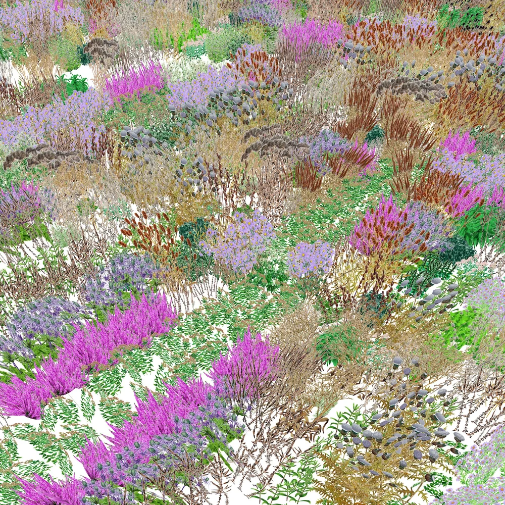 A Floral Algorithm  Disegno Journal