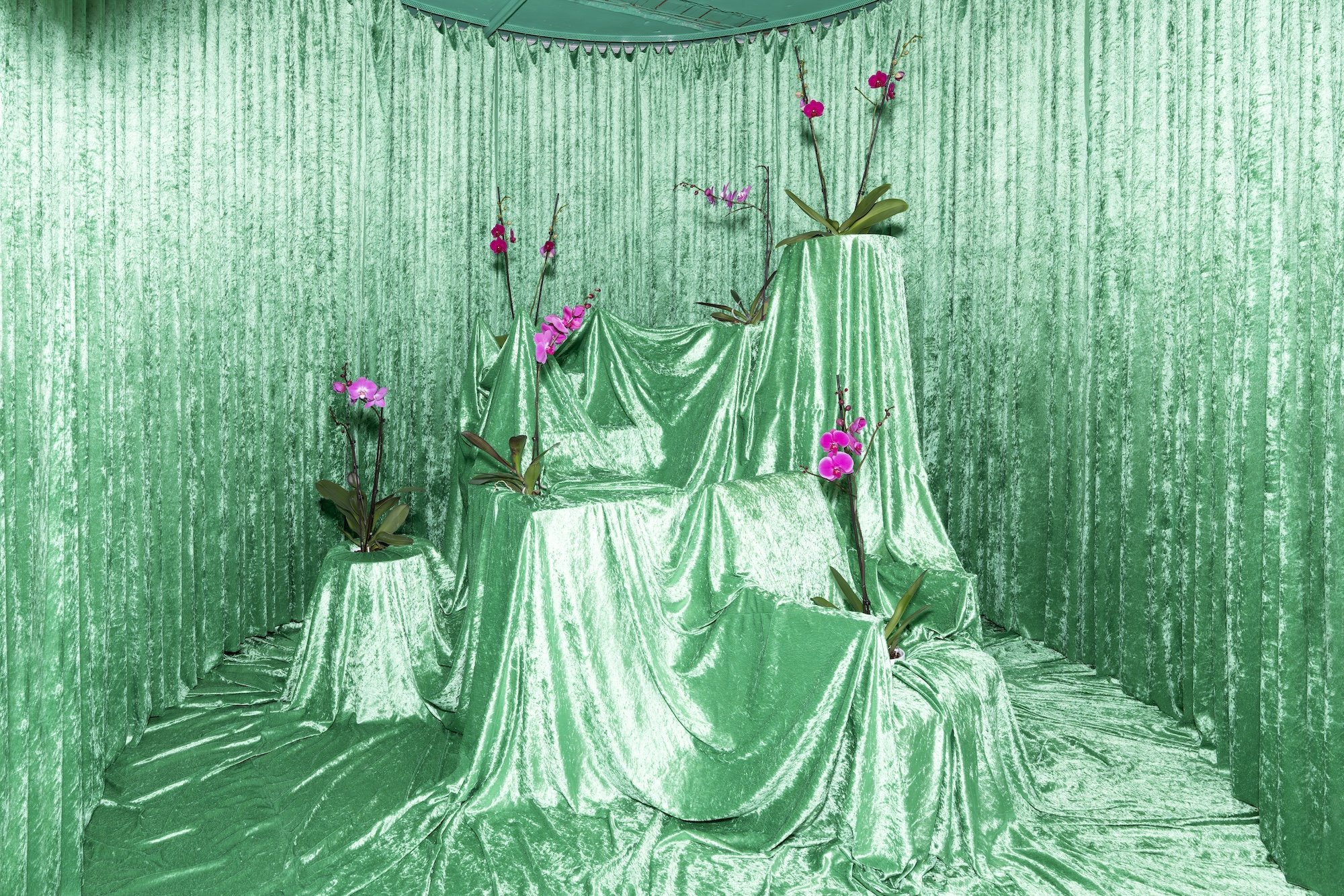 Murmuring Orchids , created by Prostorož as part of the BIO28 Production Platform, which develops new work in Slovenia around the theme of the biennale. Prostorož’s work, executed under the guidance of visual artist and architect Polonca Lovšin, ex