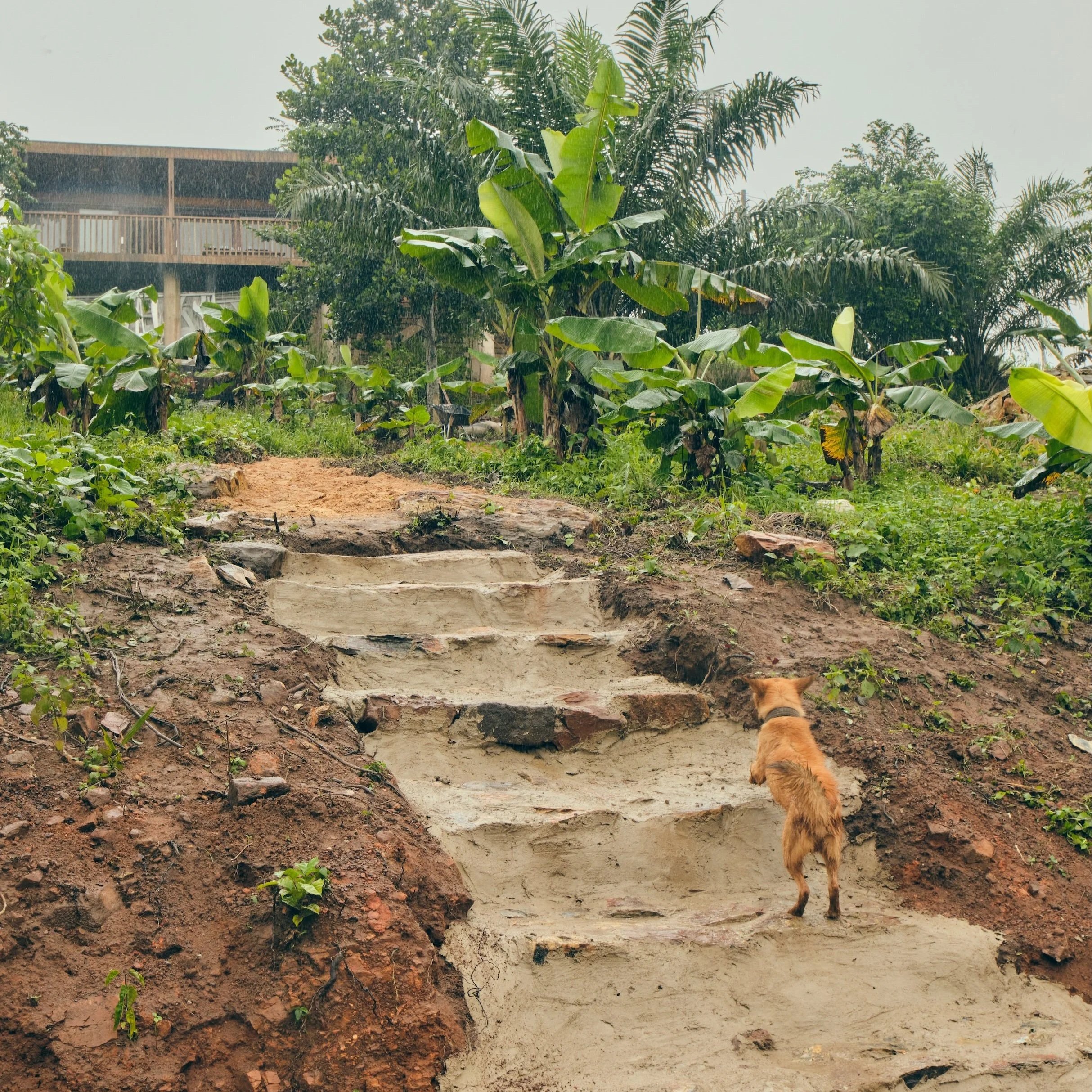 A Place We Wish to Be