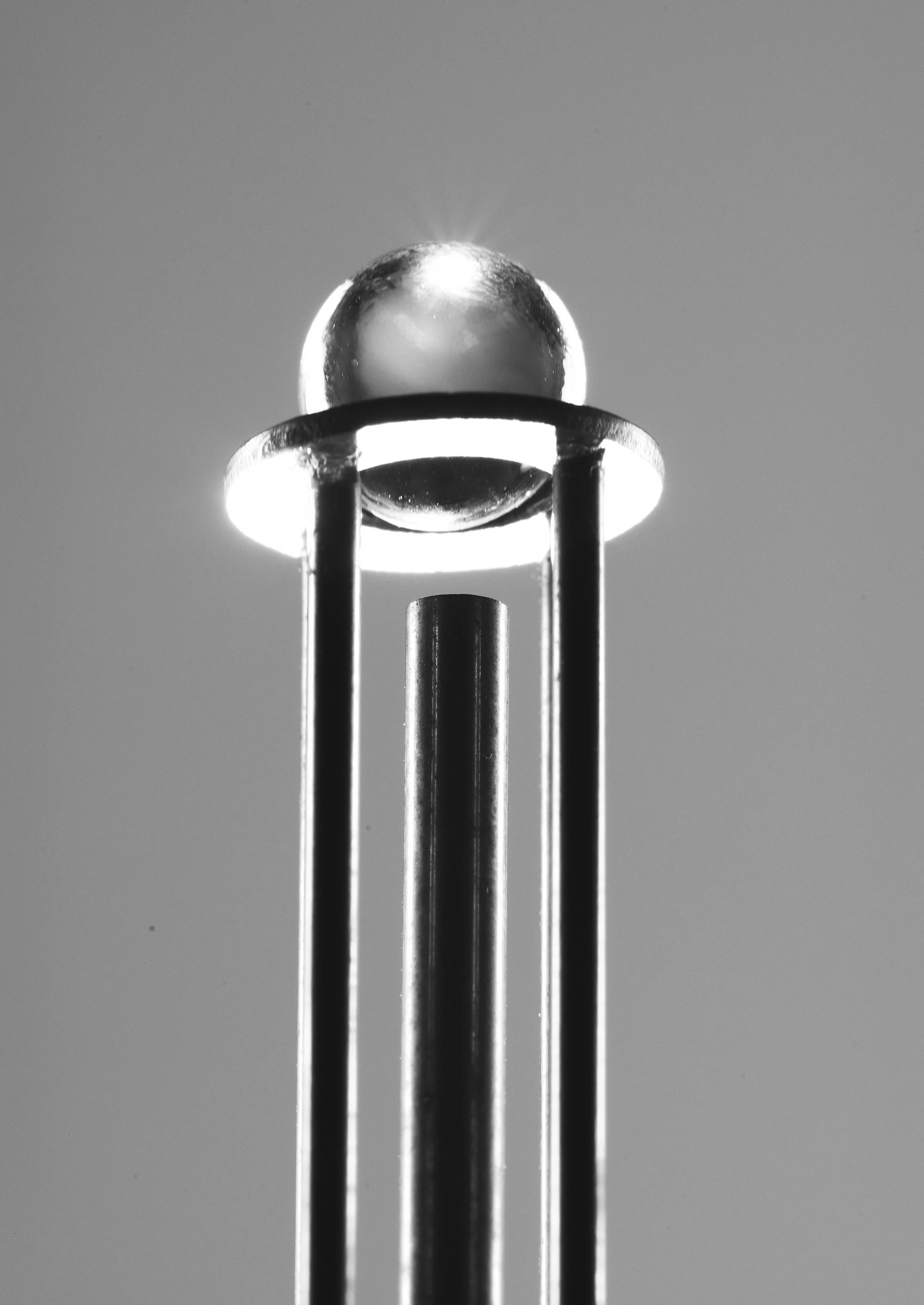  Fortune by Yoshino Takayama, exhibited as part of Designtide Tokyo (image courtesy of Yoshino Takayama). 