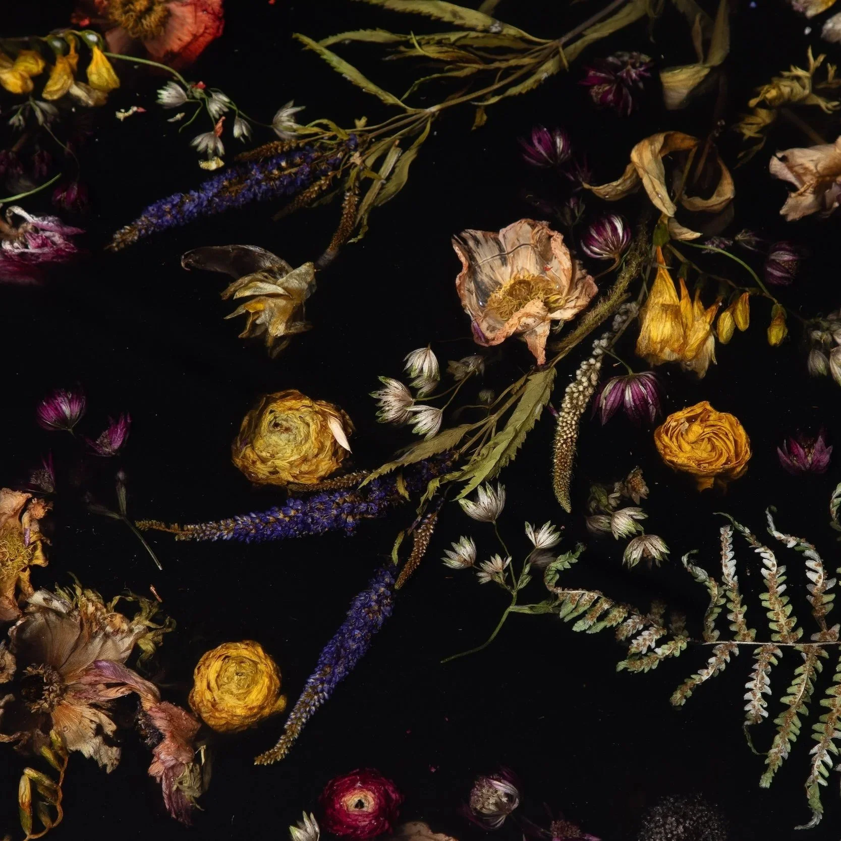 Gilding the Lily 